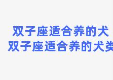 双子座适合养的犬 双子座适合养的犬类